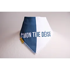 BabyBoo Bandana Bib Waterford GAA 